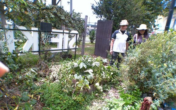 Resonancias del Sur: Las Huertas Comunitarias Fortalecen el Tejido Social a Través de ‘Voces del Buen Vivir’