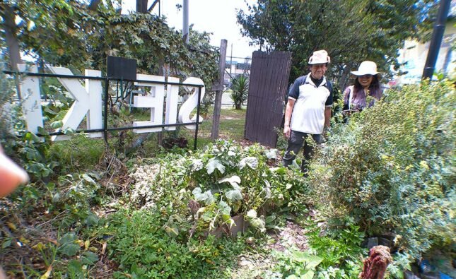 Resonancias del Sur: Las Huertas Comunitarias Fortalecen el Tejido Social a Través de ‘Voces del Buen Vivir’