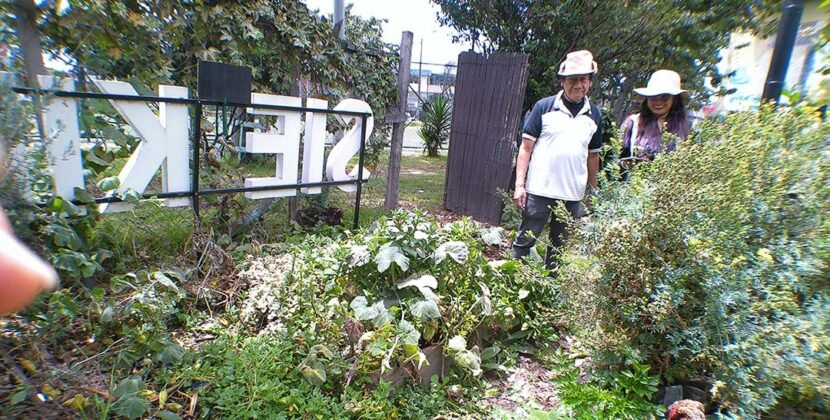 Resonancias del Sur: Las Huertas Comunitarias Fortalecen el Tejido Social a Través de ‘Voces del Buen Vivir’