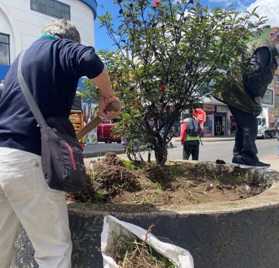 El color que une a Venecia: Vecinos transforman su avenida principal para recuperar el tejido social