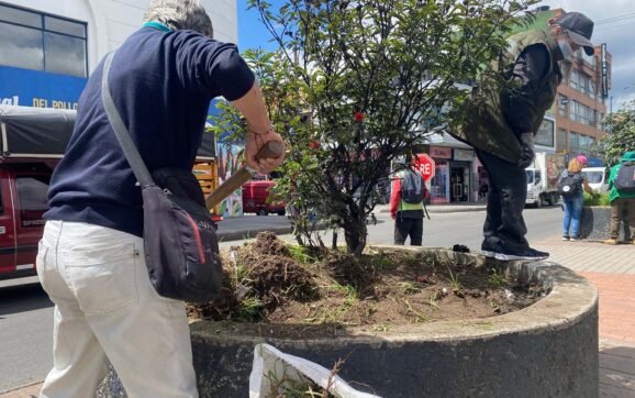 El color que une a Venecia: Vecinos transforman su avenida principal para recuperar el tejido social