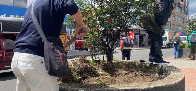 El color que une a Venecia: Vecinos transforman su avenida principal para recuperar el tejido social
