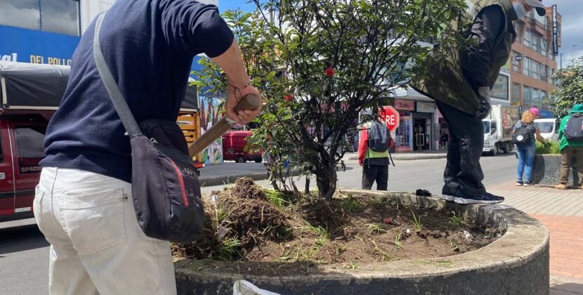 El color que une a Venecia: Vecinos transforman su avenida principal para recuperar el tejido social